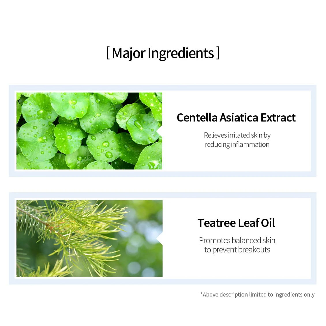 Leaders Insolution Skin Renewal Sheet Mask Tea Tree Relaxing - Image 3